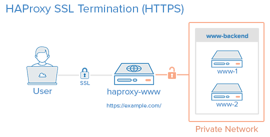 SSL proxy image